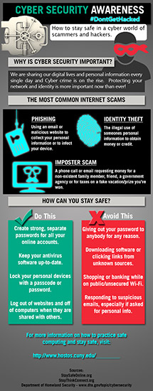 Cybersecurity Infographic (English)