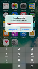 Enter a 'New passcode' then tap 'Continue'