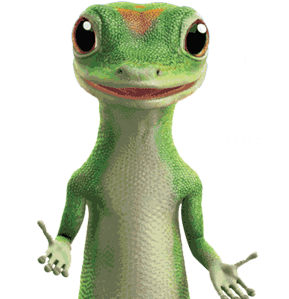 Geico