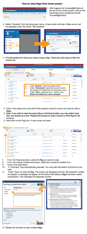 How to Raise a Flag Manually snip