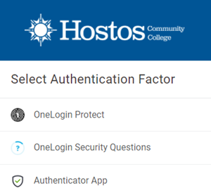 Snip image for Step 3: Select an Authentication Factor
