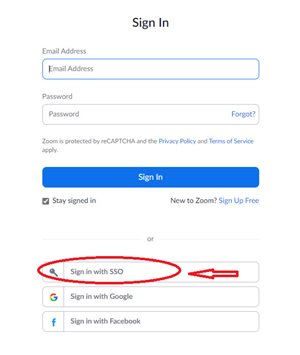 Select “Sign in with SSO” Snip image for signing in with SSO