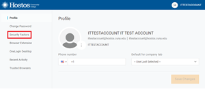 Snip image for Step 2: Click on Security Factors