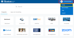 Snip image for Step 1: Click your username then click Profile