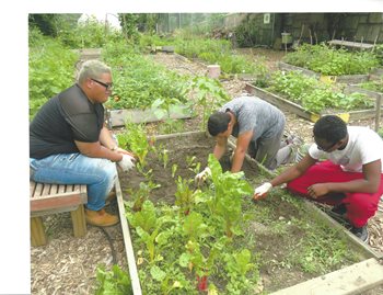 Liberty Partnerships students gardening