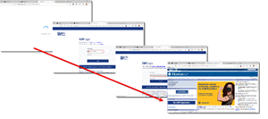 Snip image for Step 5: A new tab or window appears and you are logged in