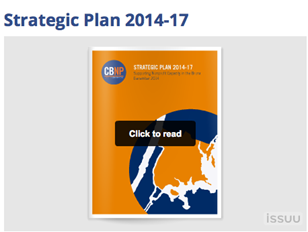 Strategic Plan