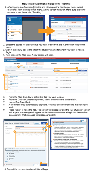 How to Raise Additional Flags for the Same Student snip