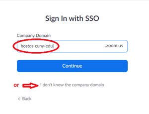 Snip image for signing in with DOMAIN